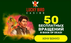 Казино Lucky Bird бонус 50 фриспинов